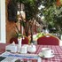 nepal cottage resort