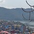 pokhara