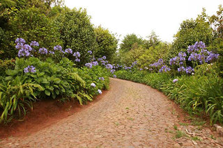 Quinta Cova Do Milho,Madeira Island>>Machico,3 star