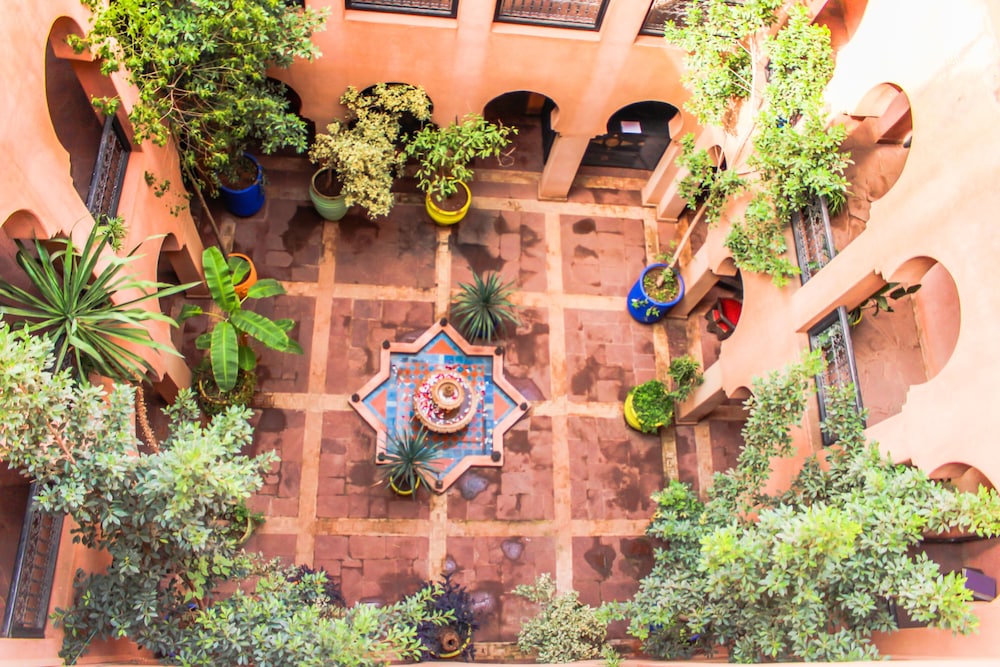kasbah omar