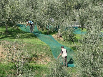 bandb hotel la piana