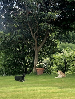 bandb hotel la piana