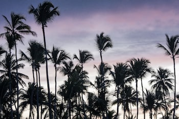 melia caribe beach resort all inclusive