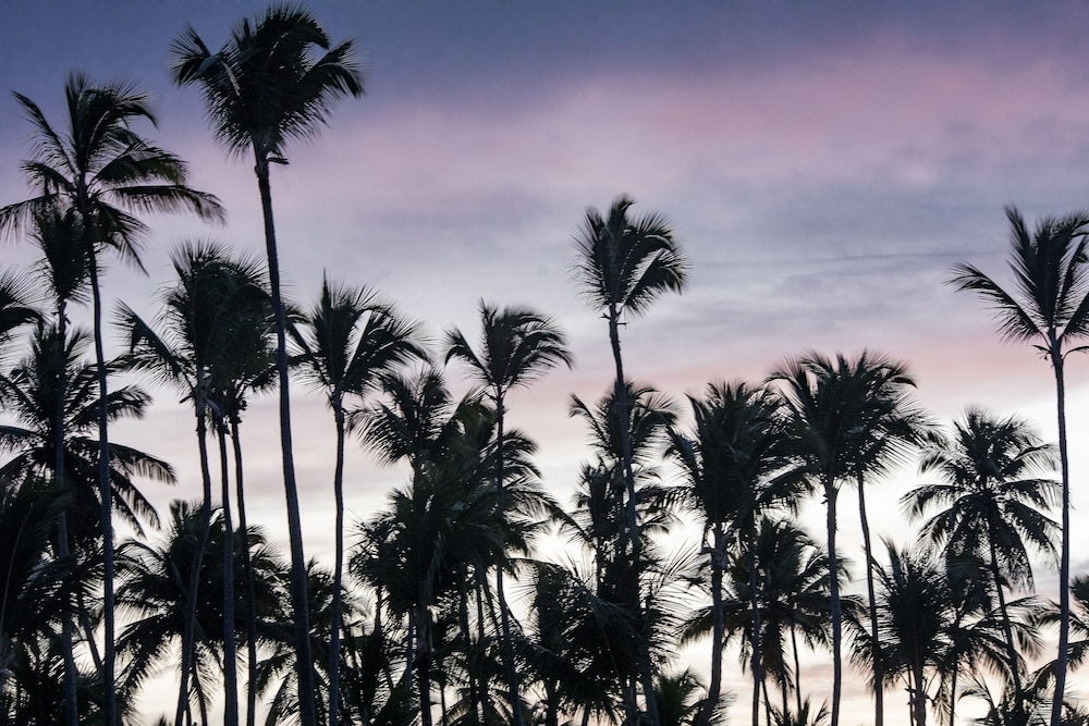 melia caribe beach resort all inclusive