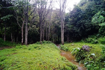 ooty