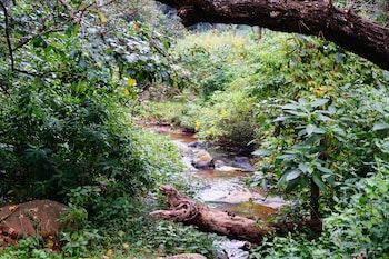 ooty