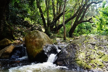 ooty