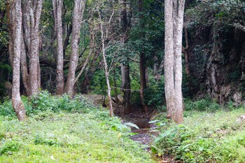 ooty