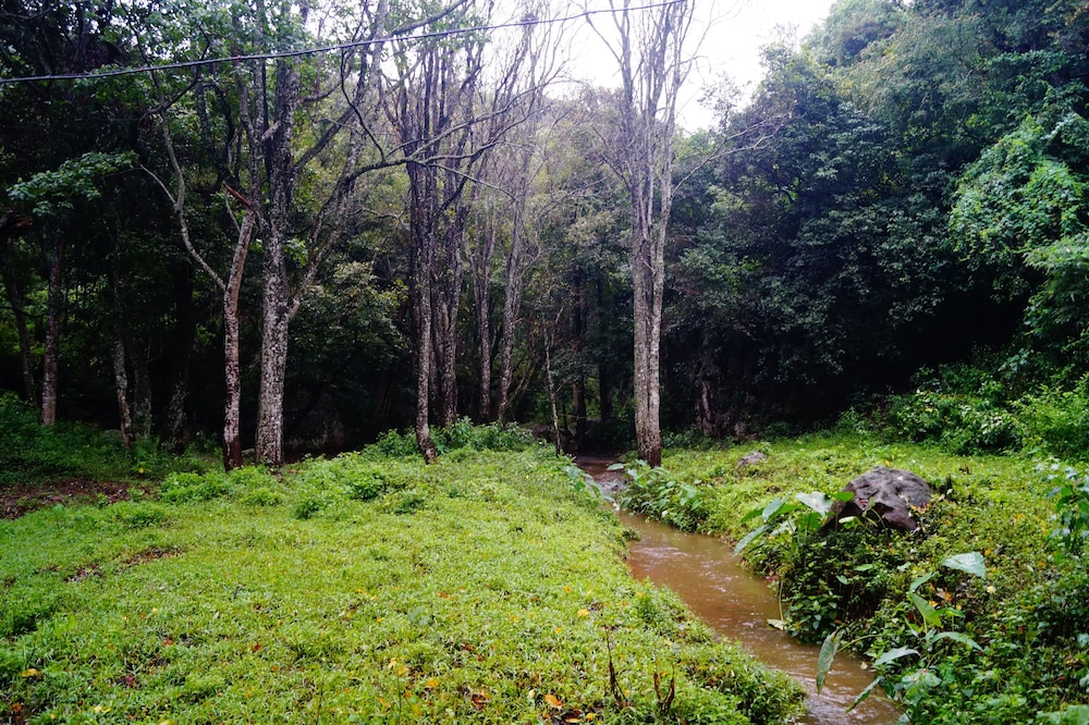 ooty
