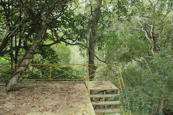ooty