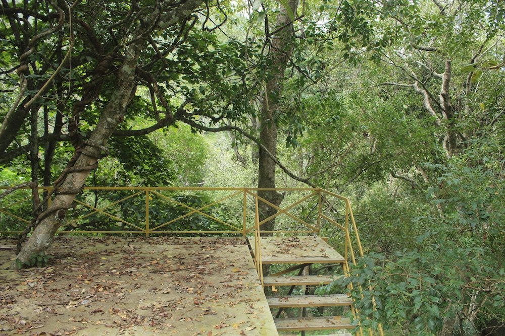 ooty