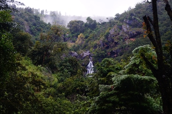 ooty
