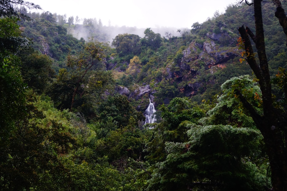 ooty