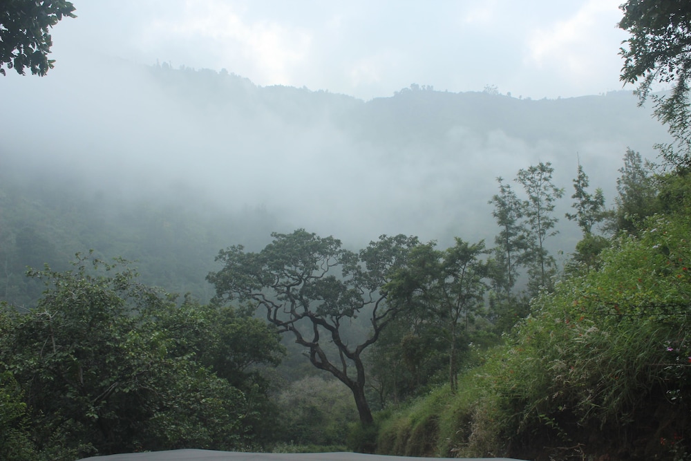 ooty
