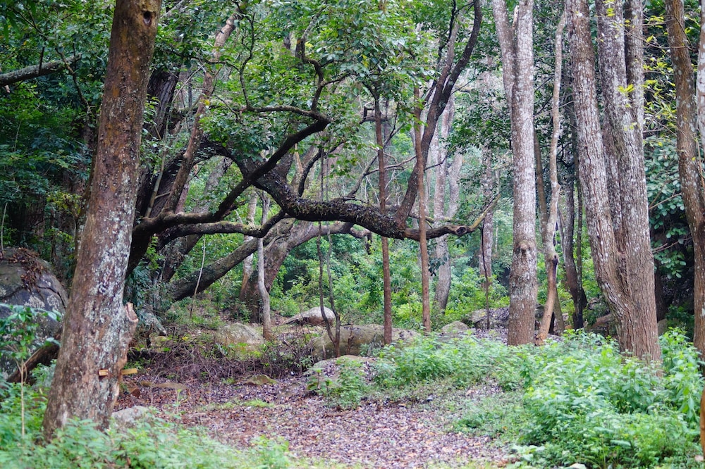 ooty