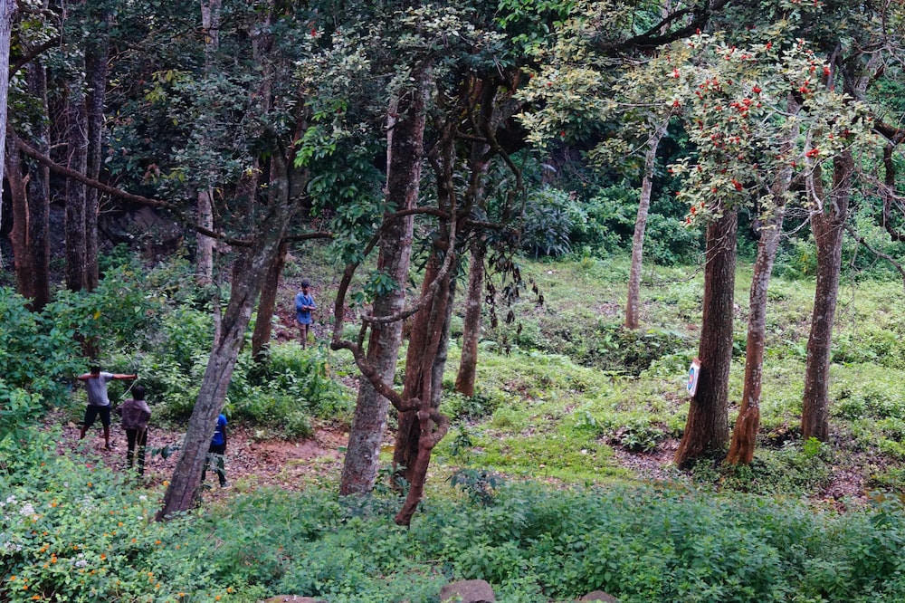 ooty