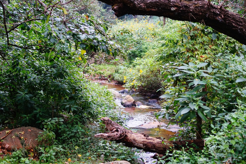 ooty