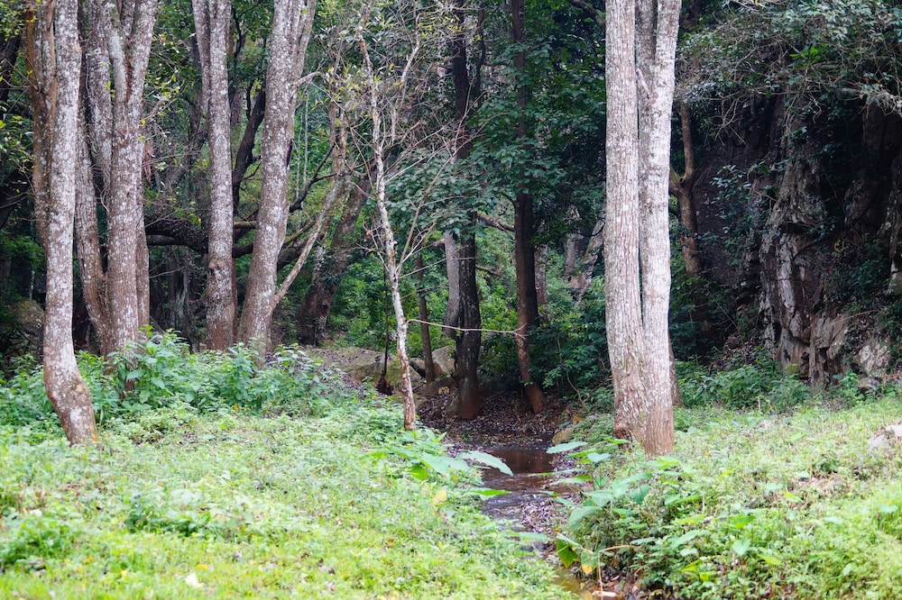 ooty