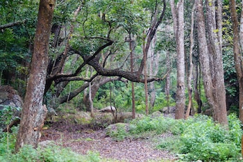 ooty