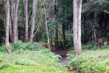 ooty