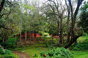 ooty