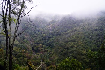 ooty