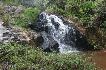 ooty