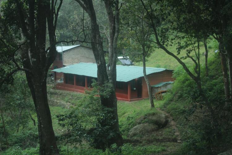 ooty