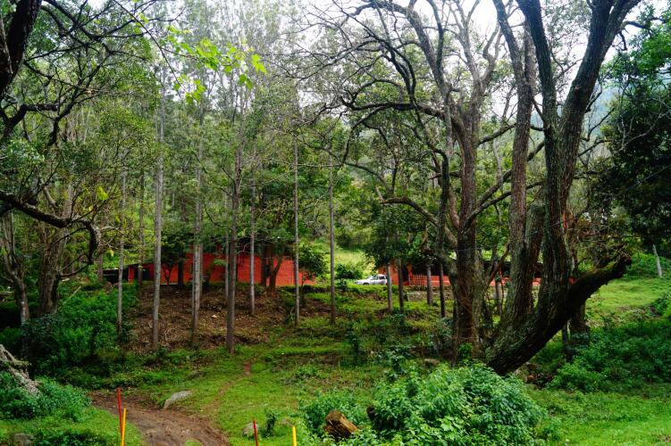ooty