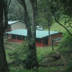 ooty