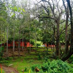 ooty