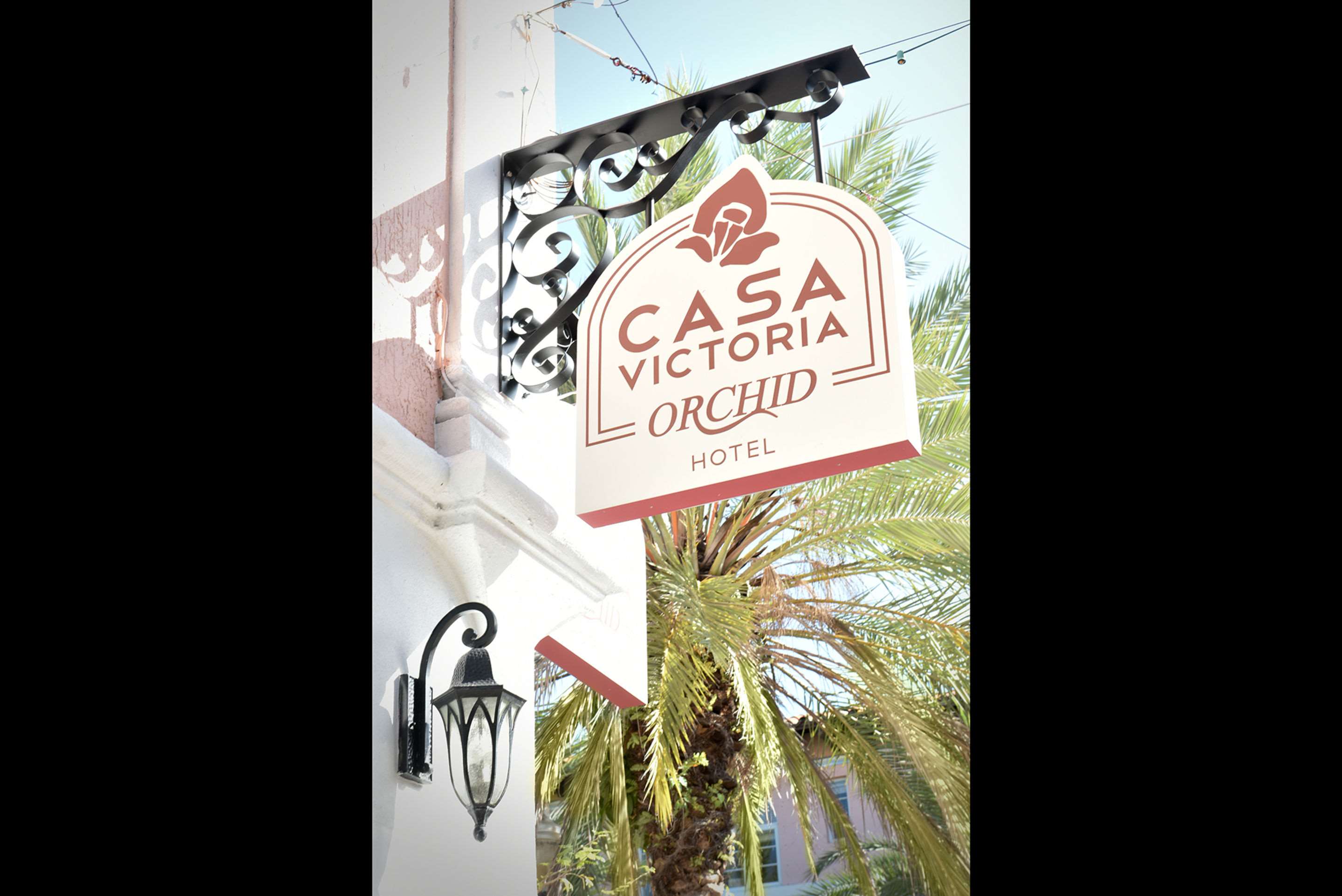 casa victoria orchid