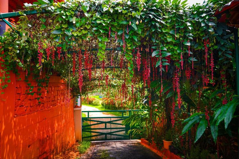 coorg