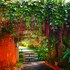 coorg
