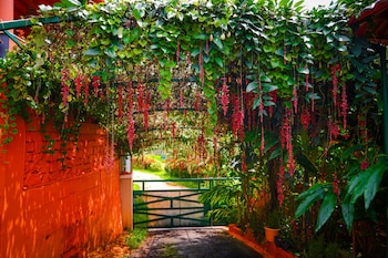 coorg