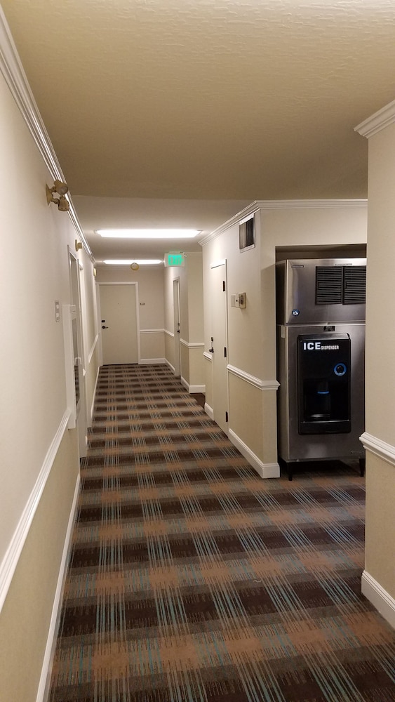 chelsea inn