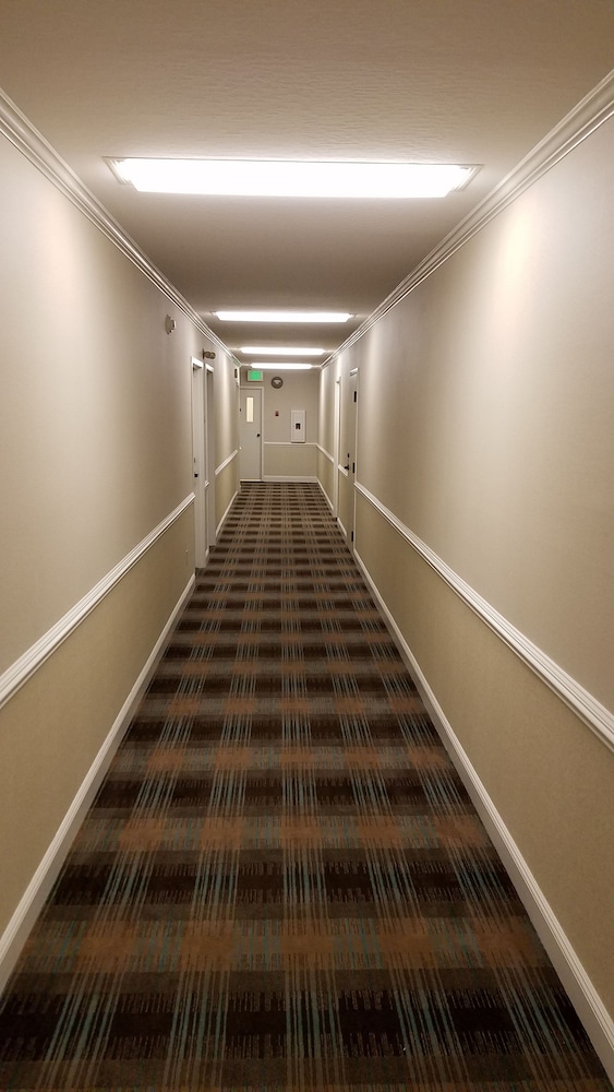 chelsea inn