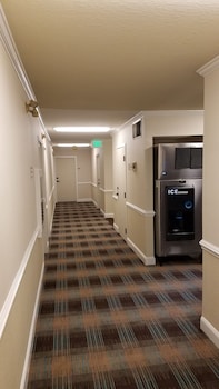 chelsea inn