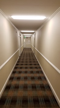 chelsea inn