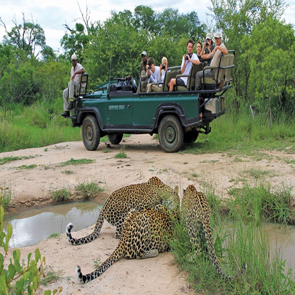 leopard hills