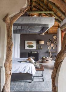 leopard hills