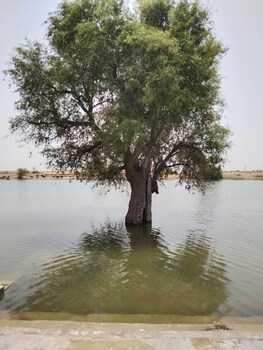 the secret house adults only