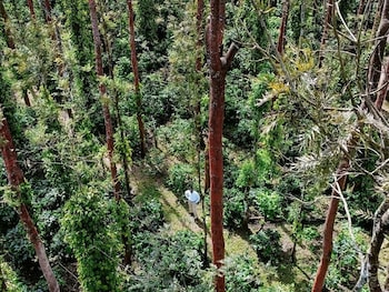 chikkamagaluru
