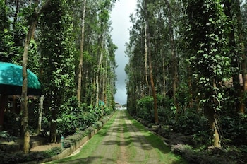 chikkamagaluru