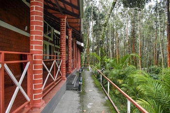 chikkamagaluru