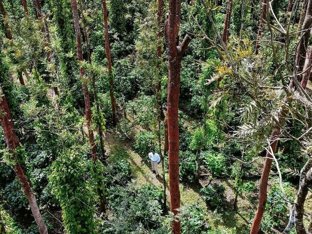 chikkamagaluru