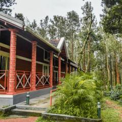 chikkamagaluru