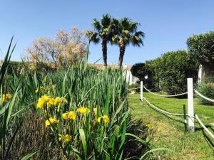 saintes maries de la mer