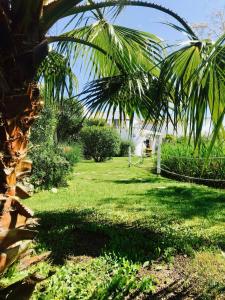 saintes maries de la mer