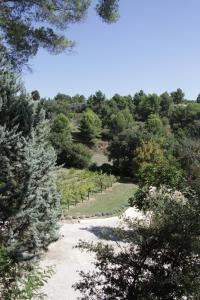 le mas des ecureuils